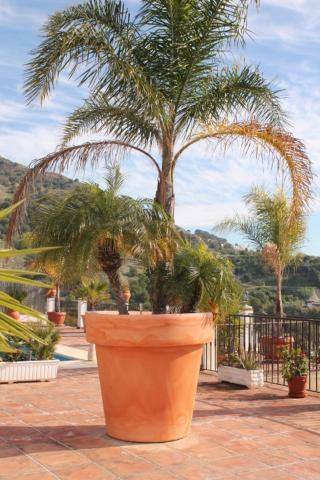 Villa El Nido Nerja Exterior photo