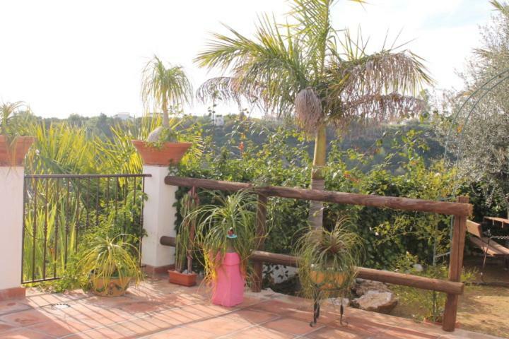 Villa El Nido Nerja Exterior photo